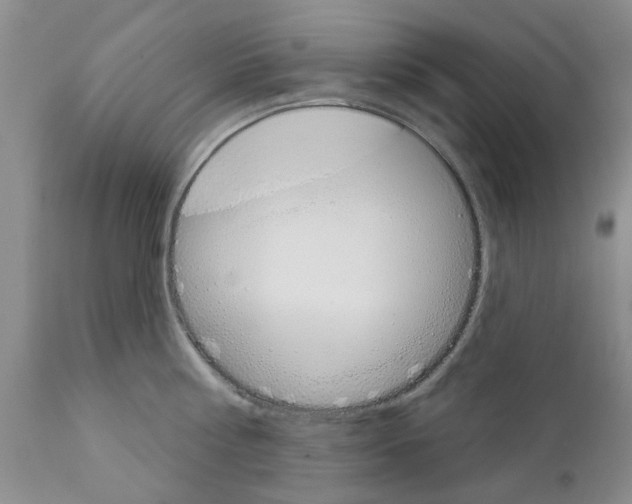 X0000111510810200908251111