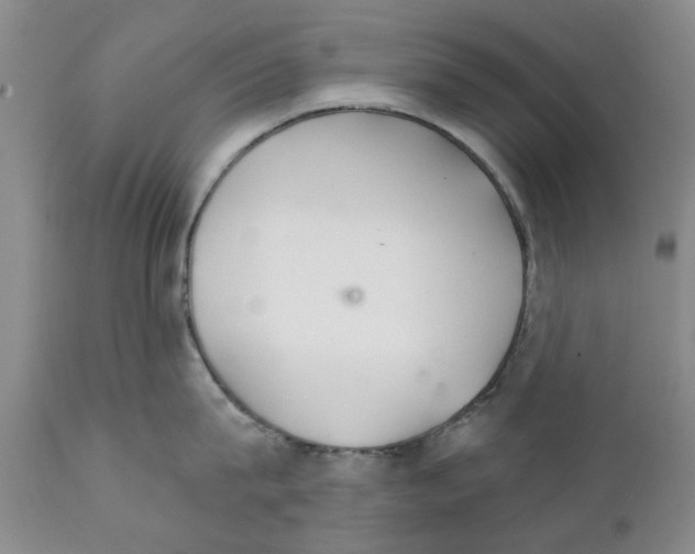 X0000111510815200908251111