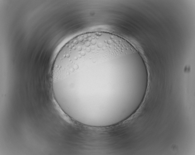 X0000111510816200908251111