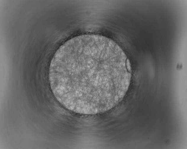 X0000111510817200908251111
