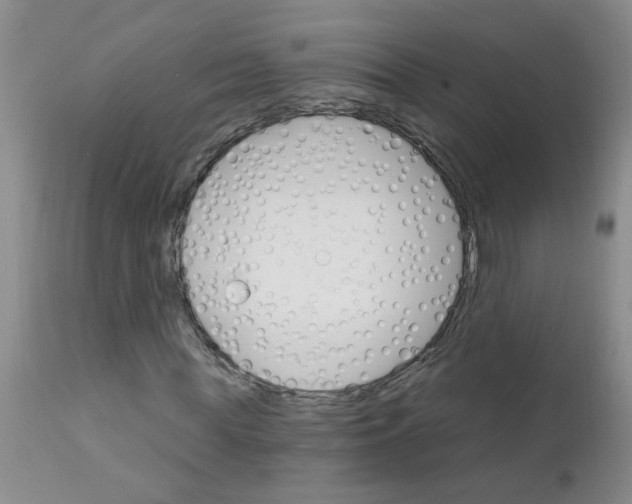 X0000111510819200908251111
