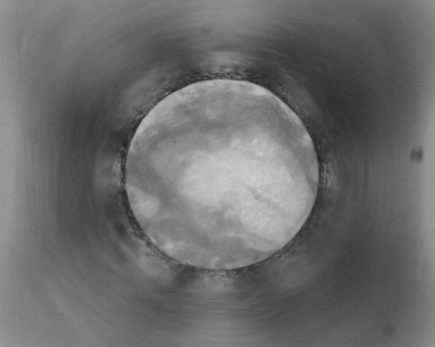X0000111510820200908251111