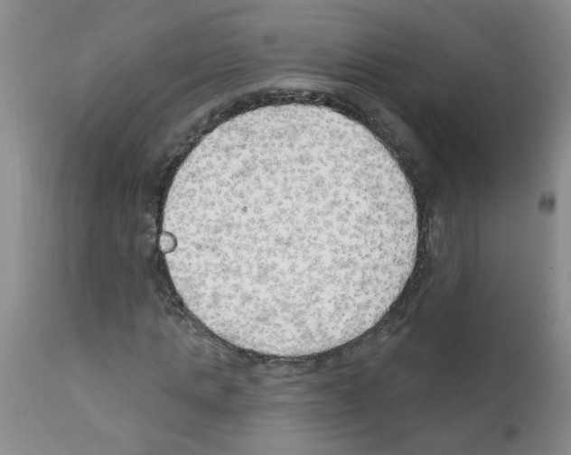 X0000111510821200908251111