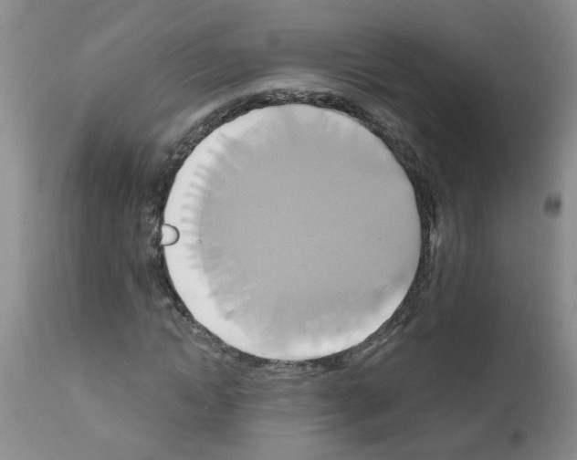 X0000111510822200908251111