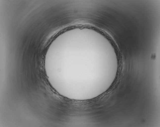 X0000111510823200908251111