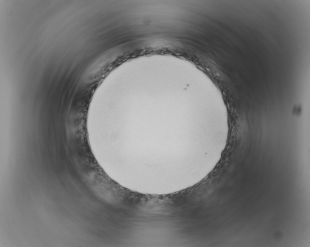 X0000111510824200908251111