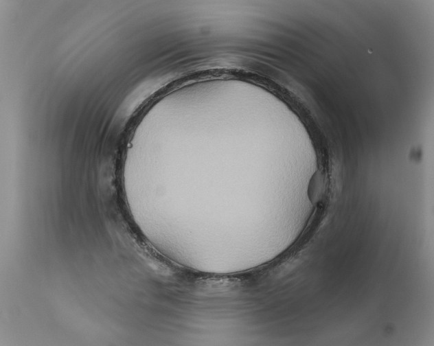 X0000111510826200908251111