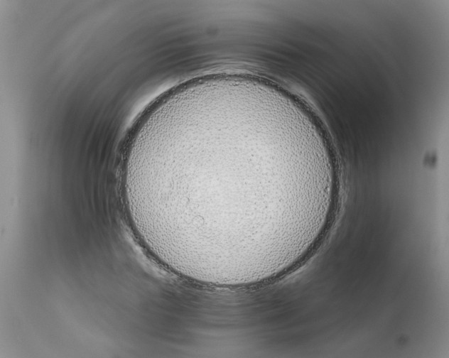 X0000111510827200908251111
