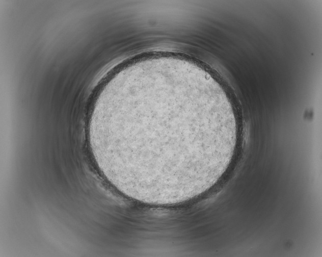 X0000111510829200908251111