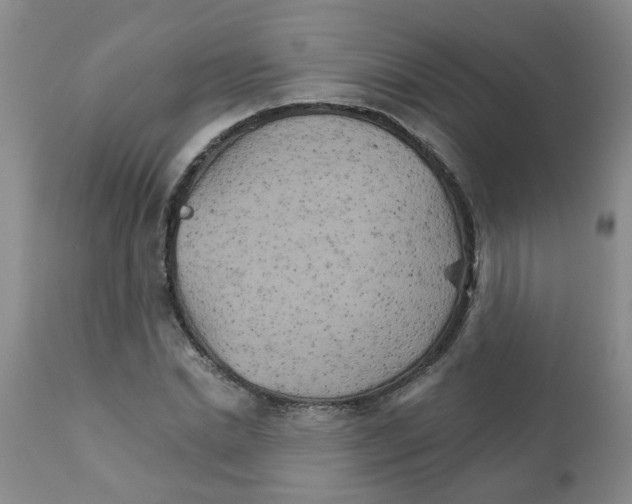 X0000111510830200908251111