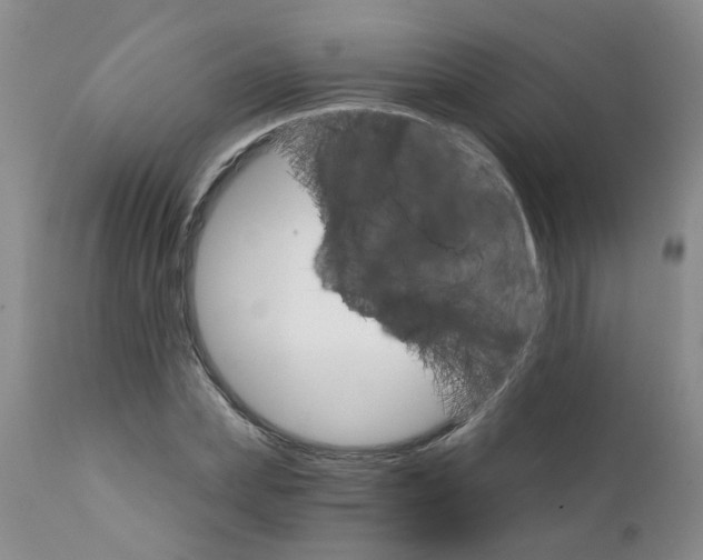 X0000111510831200908251111
