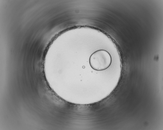 X0000111510832200908251111