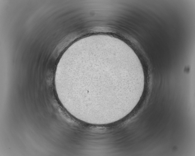 X0000111510833200908251111