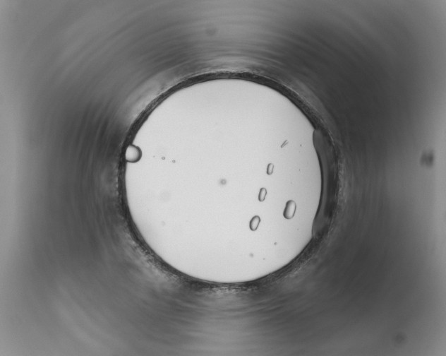 X0000111510834200908251111