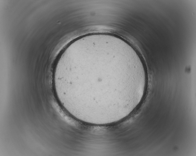 X0000111510835200908251111