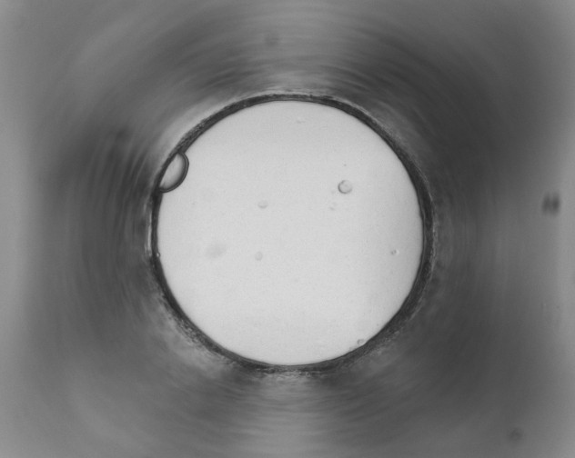 X0000111510838200908251111