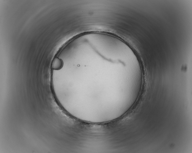 X0000111510839200908251111