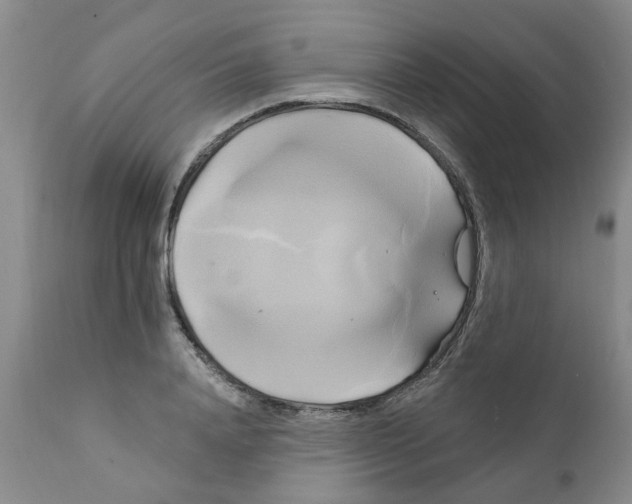 X0000111510840200908251111