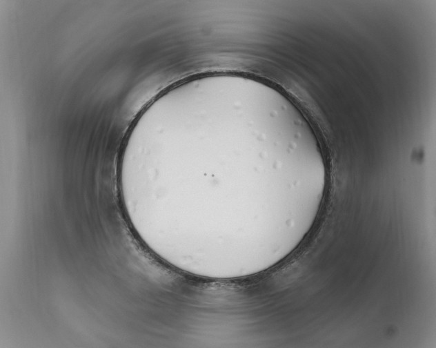 X0000111510842200908251111