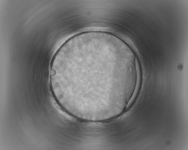 X0000111510844200908251111
