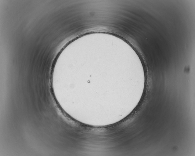 X0000111510845200908251111