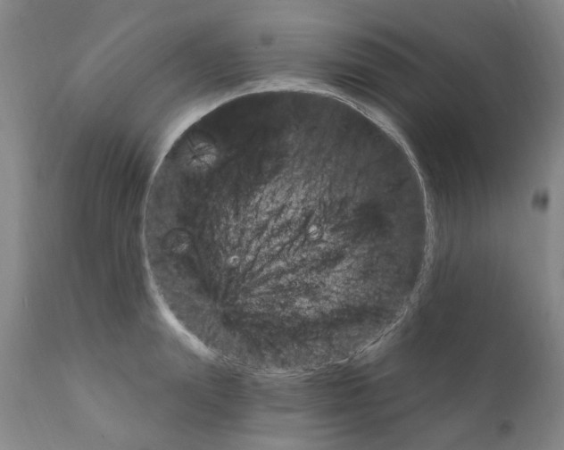 X0000111510847200908251111