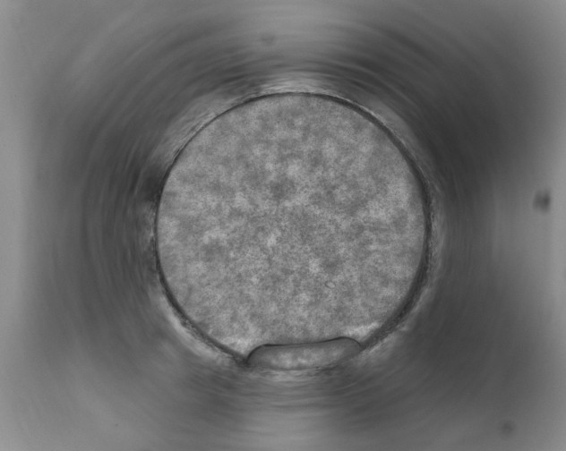 X0000111510849200908251111