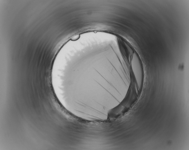 X0000111510850200908251111
