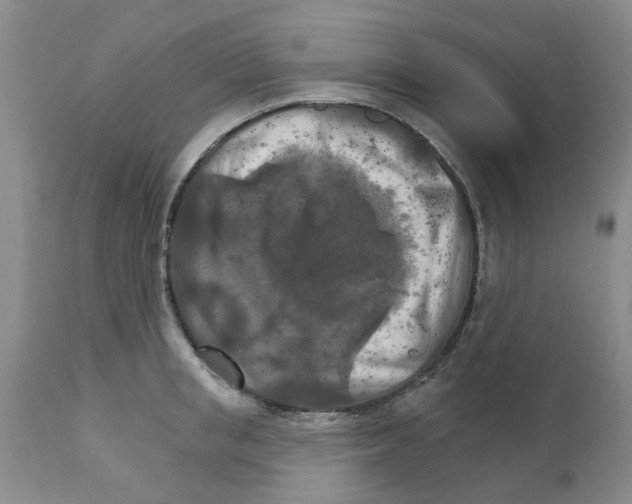 X0000111510853200908251111