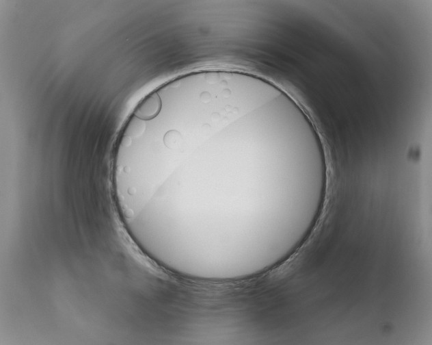 X0000111510854200908251111