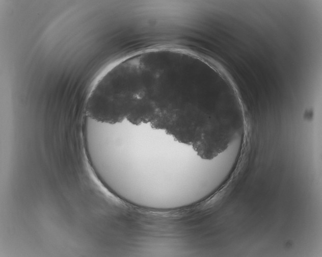 X0000111510855200908251111