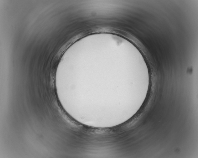 X0000111510857200908251111