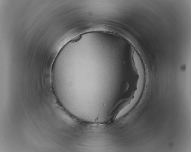 X0000111510858200908251111