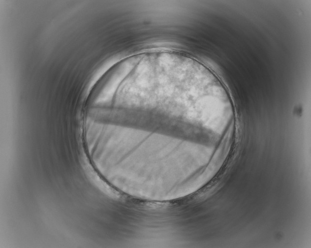 X0000111510859200908251111