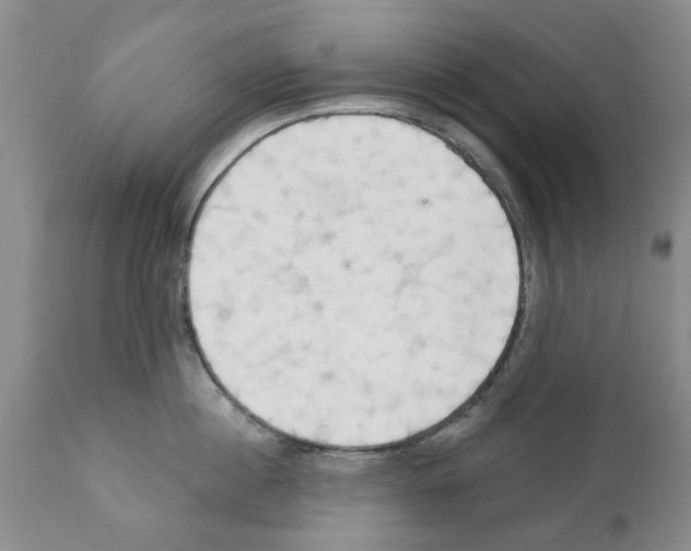 X0000111510860200908251111