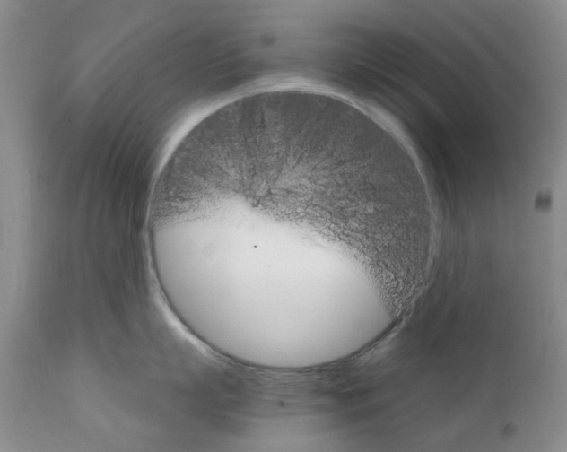 X0000111510863200908251111