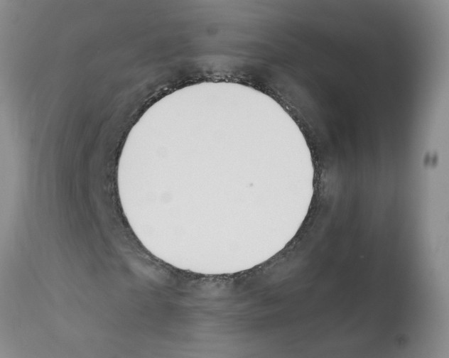 X0000111510865200908251111