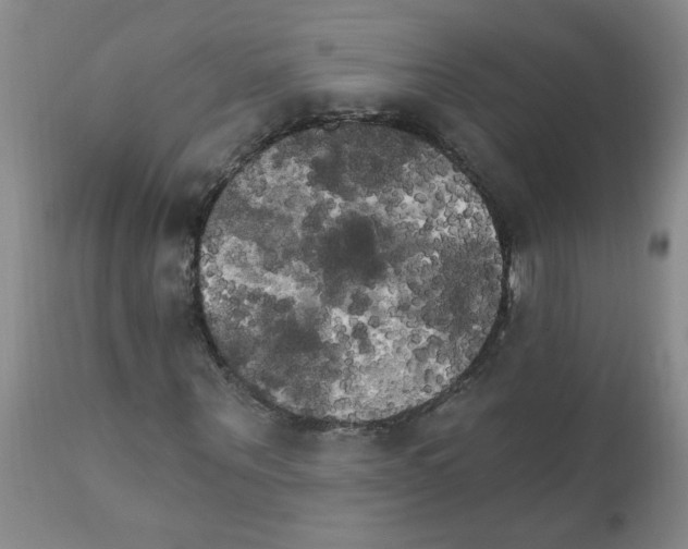 X0000111510867200908251110