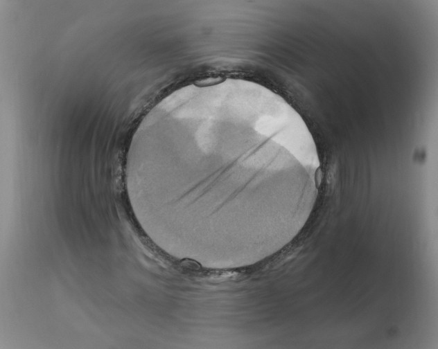 X0000111510868200908251110