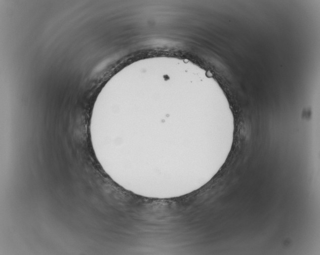 X0000111510869200908251110