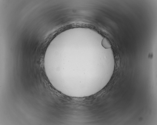 X0000111510870200908251110