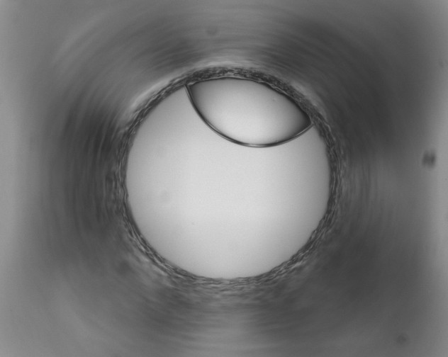 X0000111510872200908251110