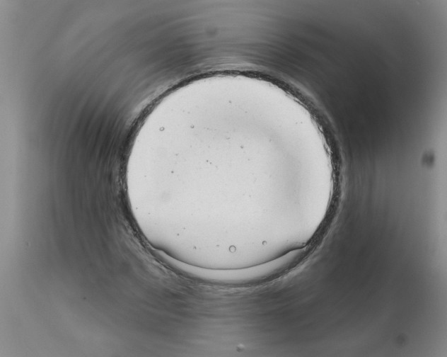 X0000111510873200908251110