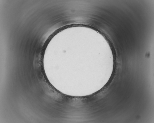 X0000111510875200908251110