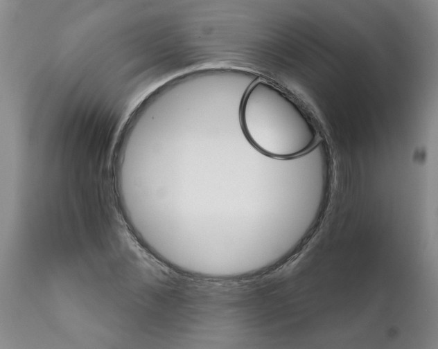 X0000111510876200908251110