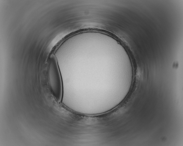 X0000111510877200908251110