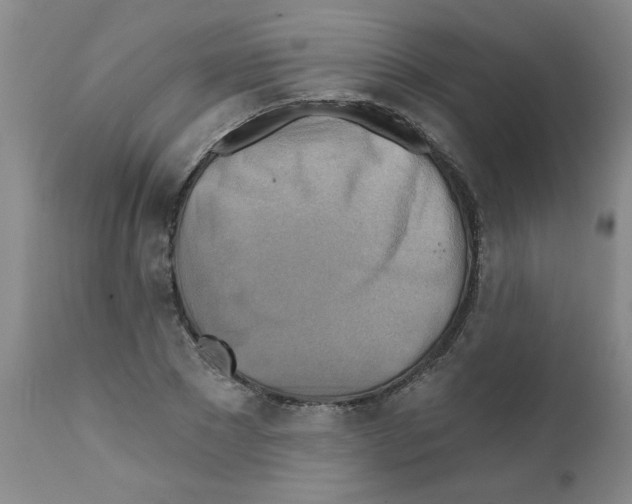 X0000111510881200908251110