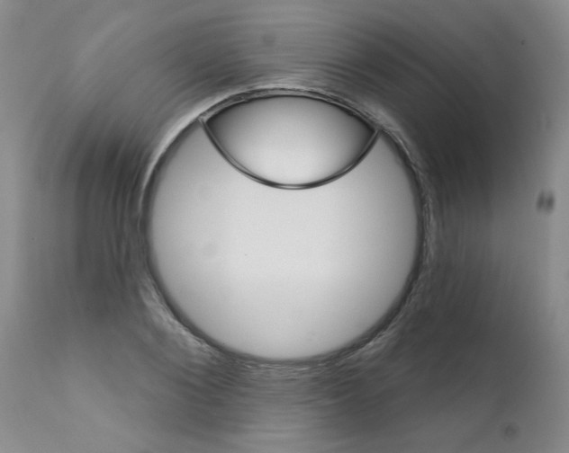 X0000111510884200908251110