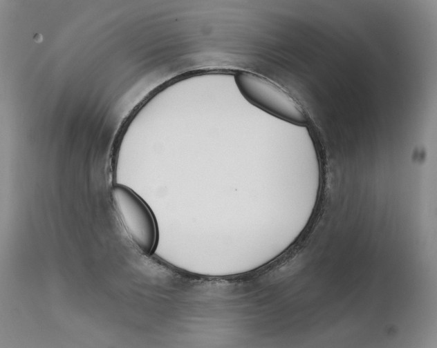 X0000111510885200908251110