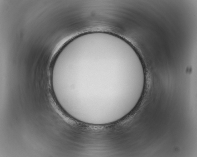 X0000111510886200908251110